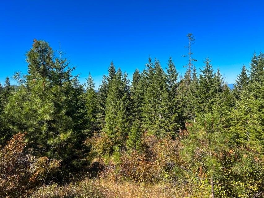 Property Photo:  52xx Lot 5 S Swenson Rd  WA 99006 