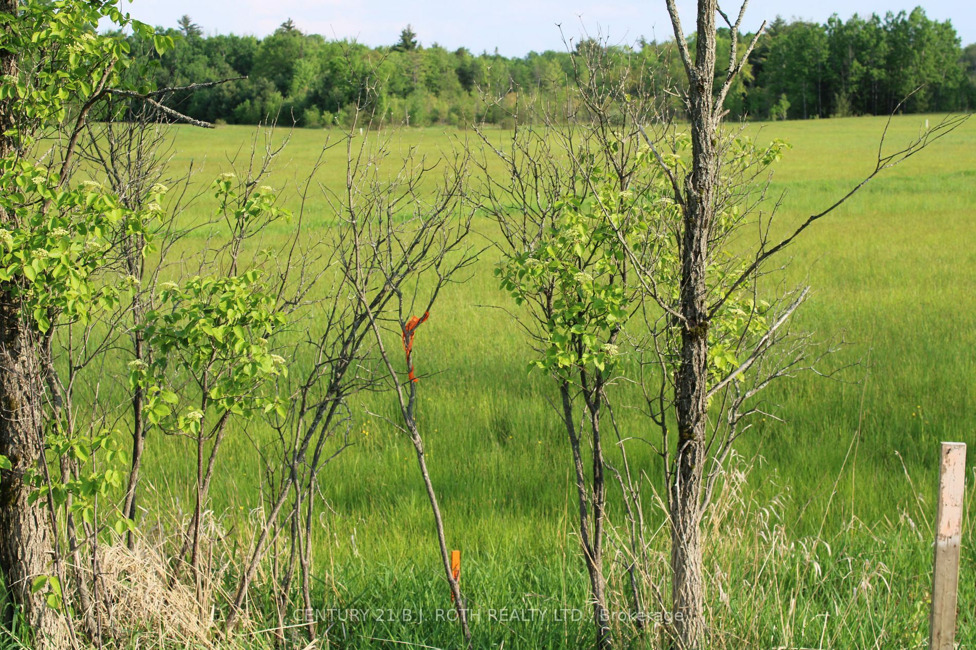 Property Photo:  1521 Kilworthy Road Lot 2  ON P0E 1G0 