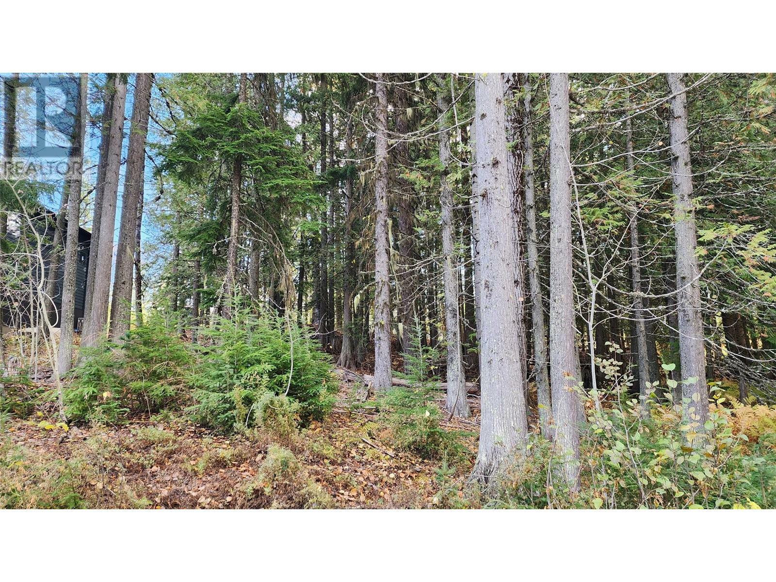 Property Photo:  206 Cedar Creek Place  BC V0G 1Y0 