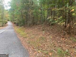 Lot 4 Cane Creek Ridge  Blairsville GA 30512 photo