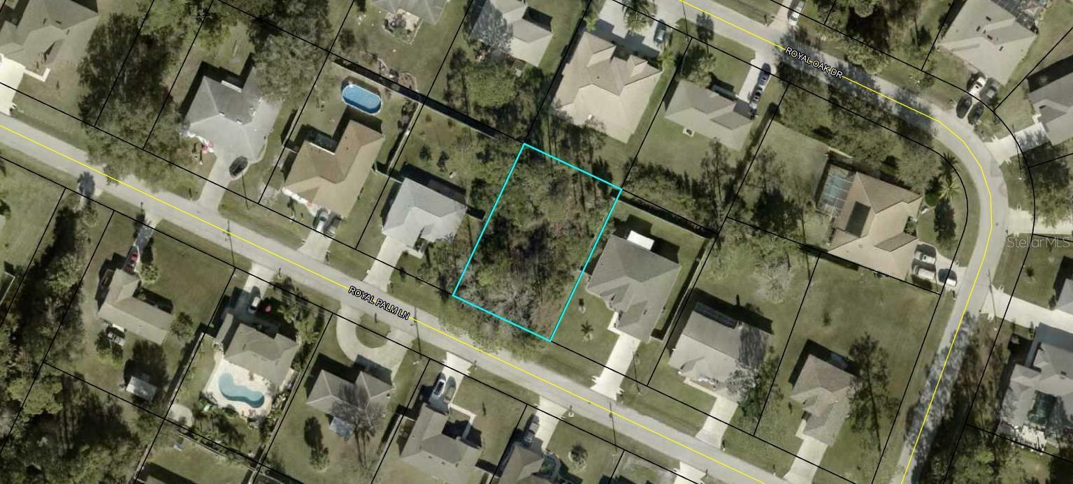 Property Photo:  31 Royal Palm Lane  FL 32164 