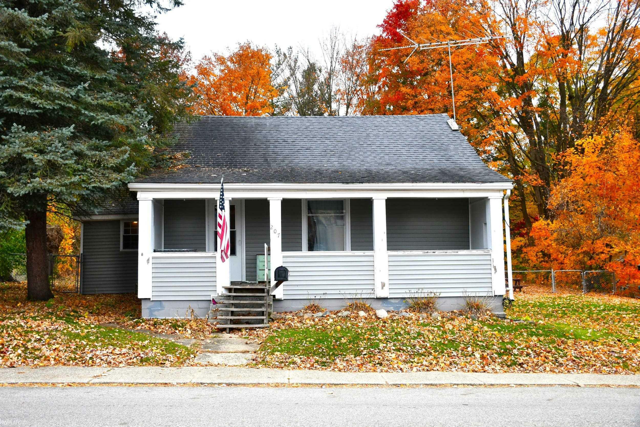 Property Photo:  207 Jones Street  MI 48097 