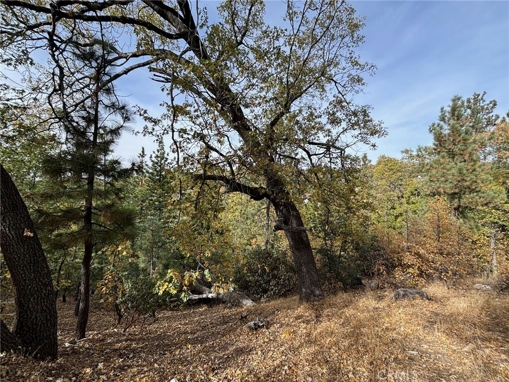 Property Photo: 0 Manitoba Drive CA 92352