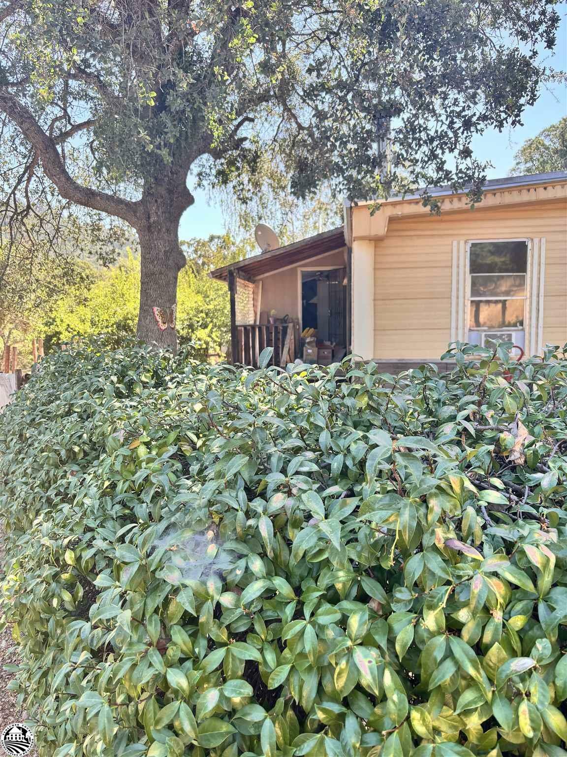 Property Photo:  5314 Dogtown Road  CA 95311 