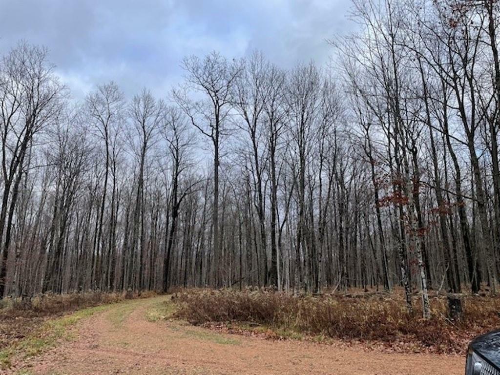 Property Photo:  29.64 Acres Gusman Road  WI 54476 