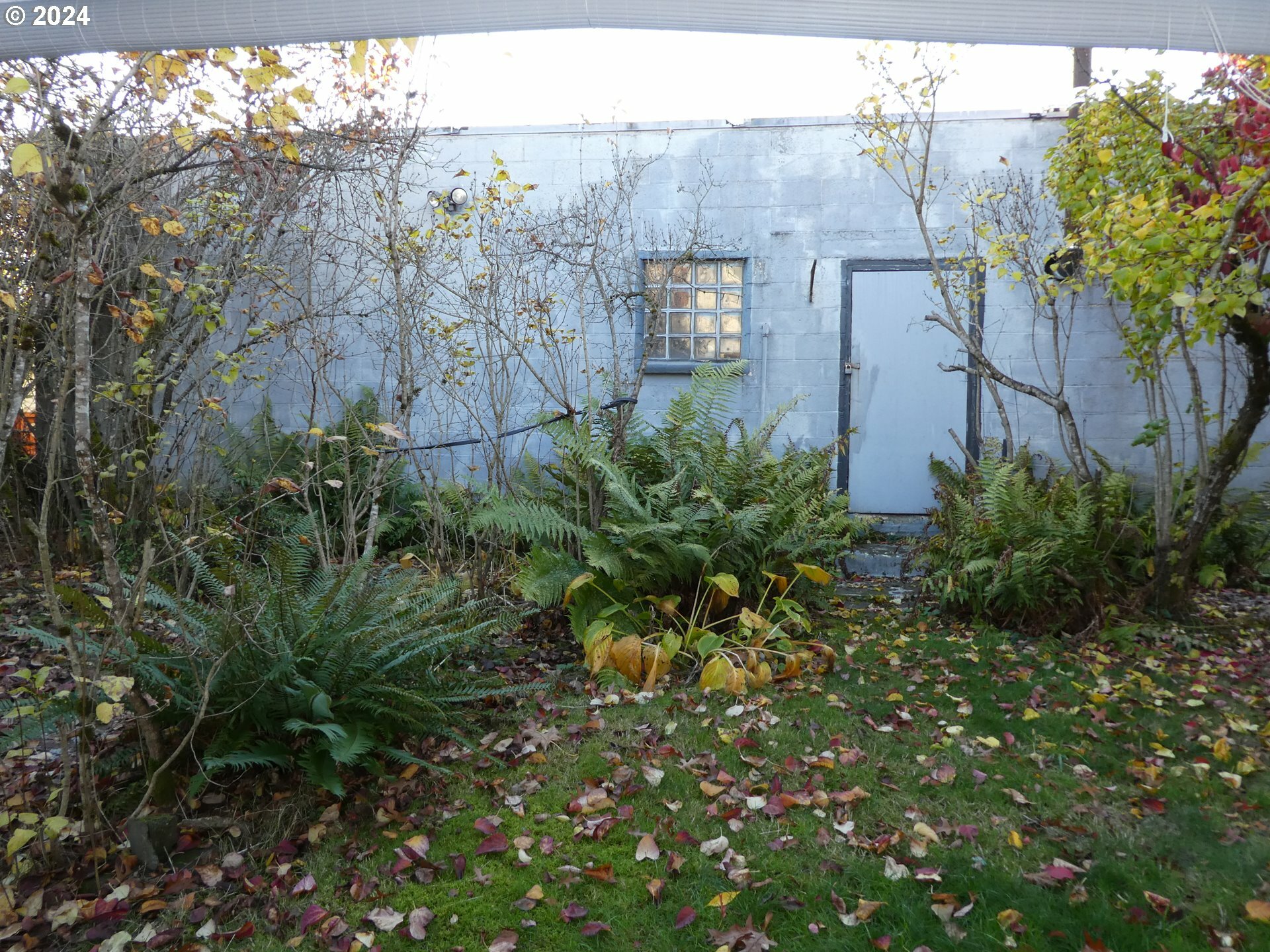 Property Photo:  619 Willamette St  OR 97045 