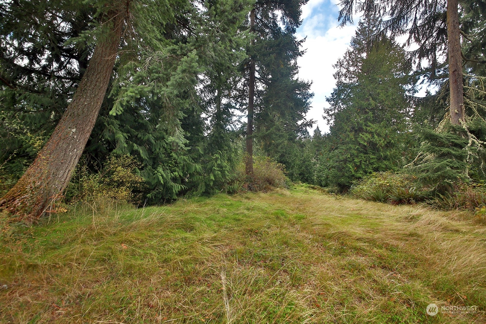 0 Lot E Saratoga Road  Langley WA 98260 photo