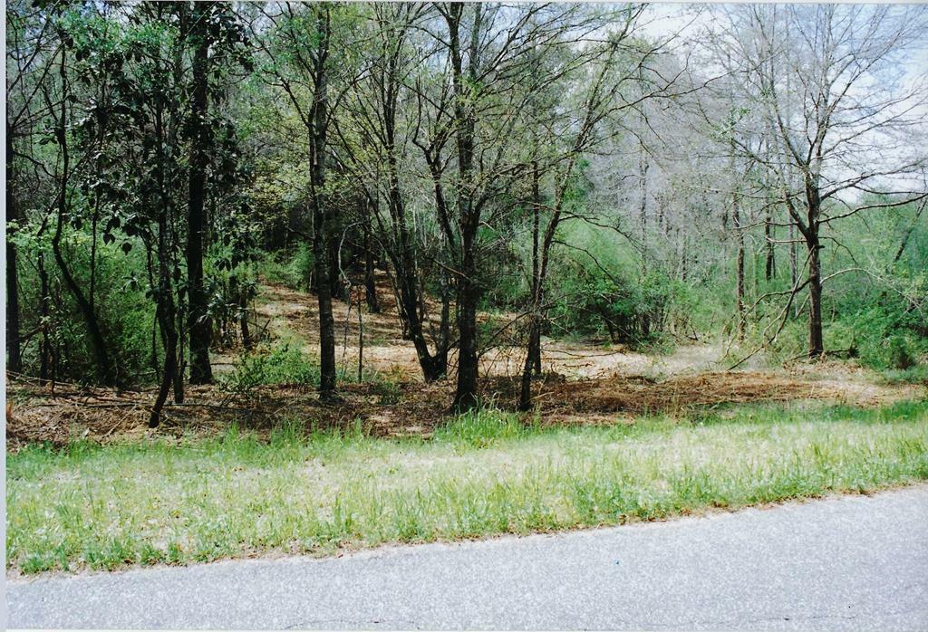 Property Photo:  0 County Road 11 Lot 14  AL 36345 