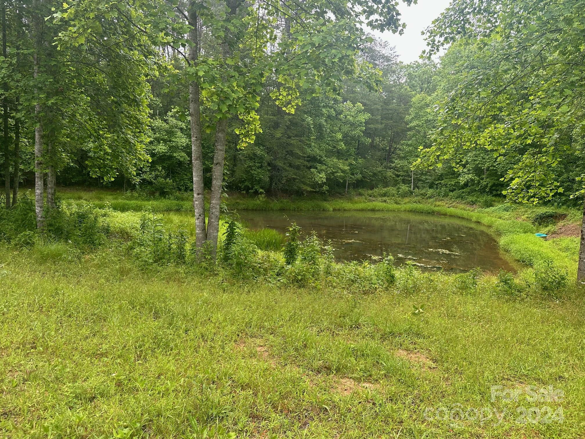 Property Photo:  514 Davistown Church Road  NC 28762 