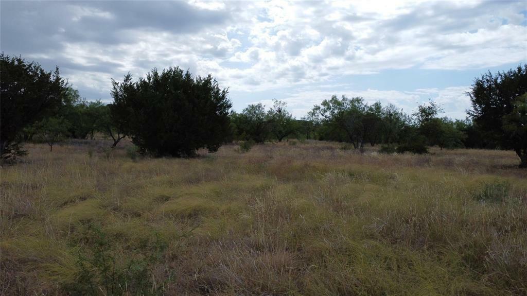 Property Photo:  Lot 1049 Frog Branch Court  TX 76449 