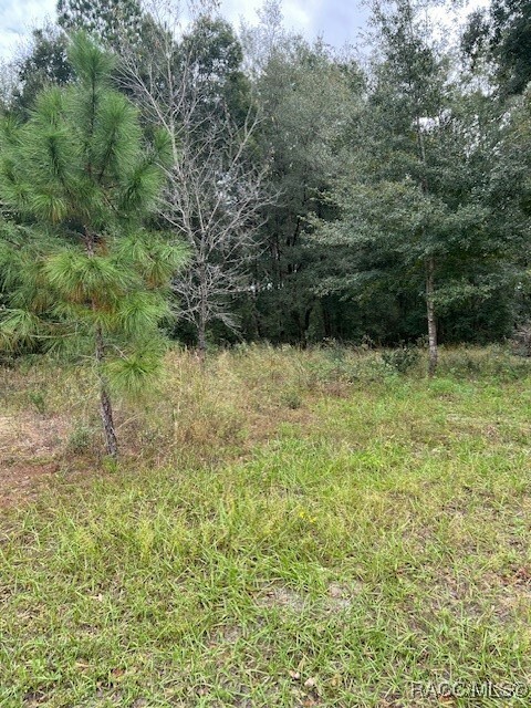 Property Photo:  00 SW 131st Terrace  FL 34432 