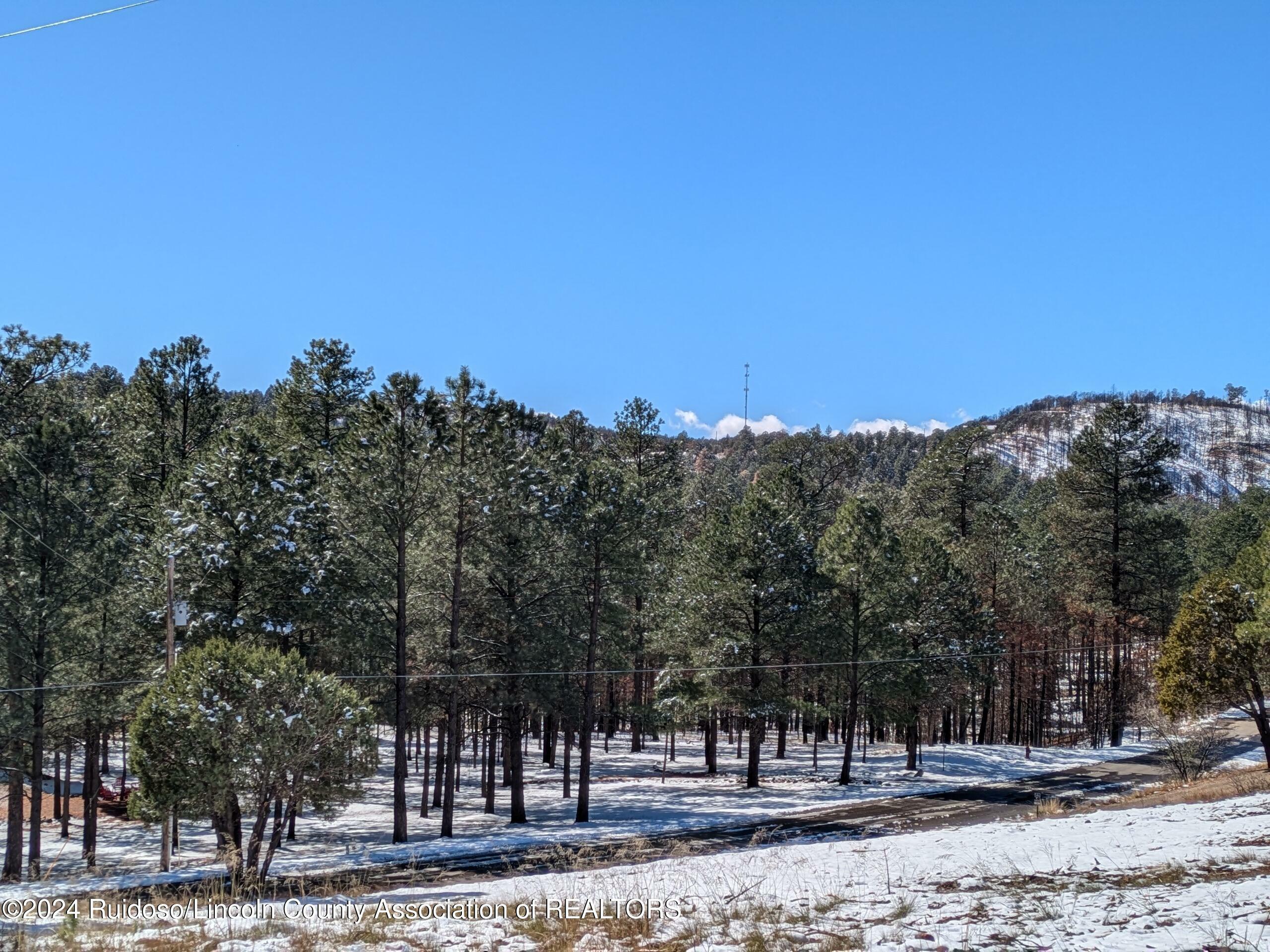 Property Photo:  Tract 27 Deer Creek Road  NM 88345 