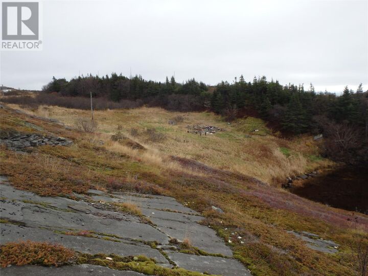 Property Photo:  0 Miller'S Road  NL A0C 2H0 