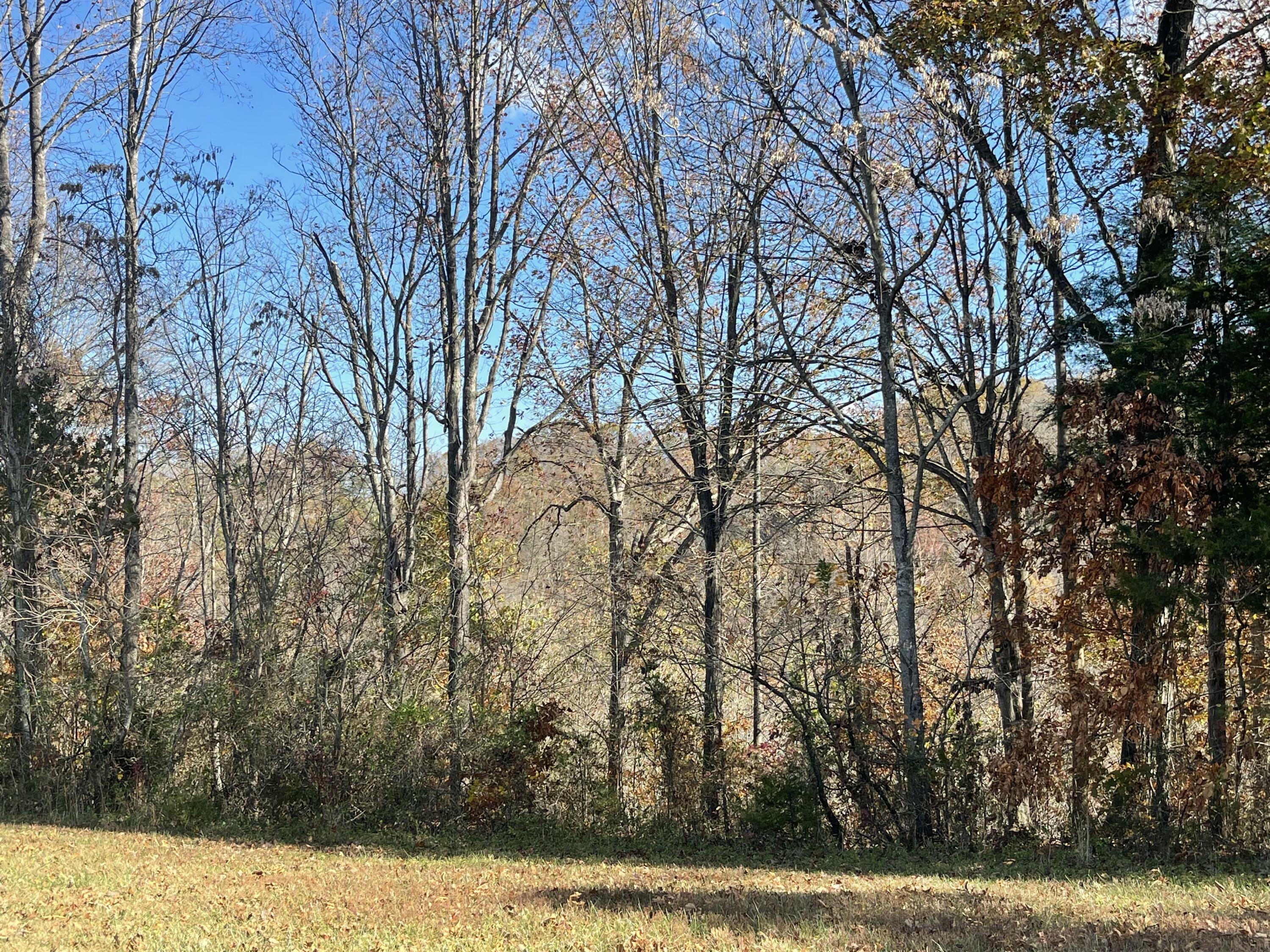 Property Photo:  Lot 56 Stillwater  KY 42642 