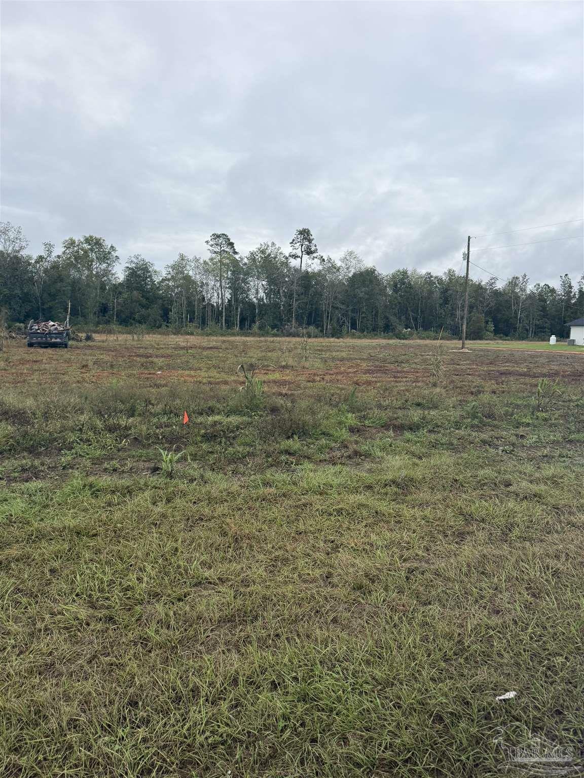 Property Photo:  Lot 3 Ard Field Rd  FL 32565 