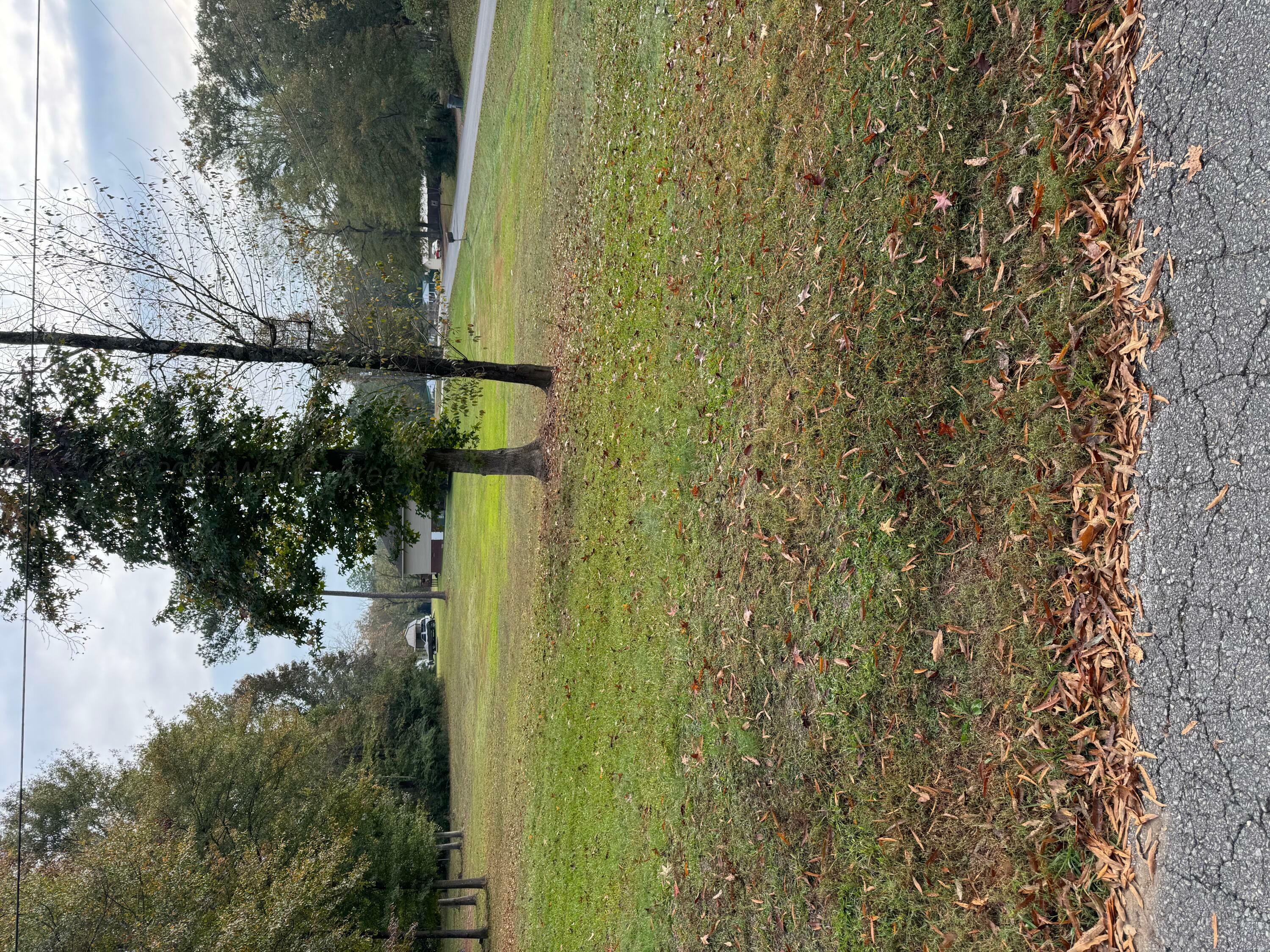 Property Photo:  Lot 3 Evans Cir  AL 35501 