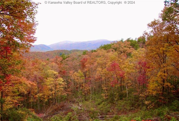 Property Photo:  0 Dry Branch Road  WV 25306 