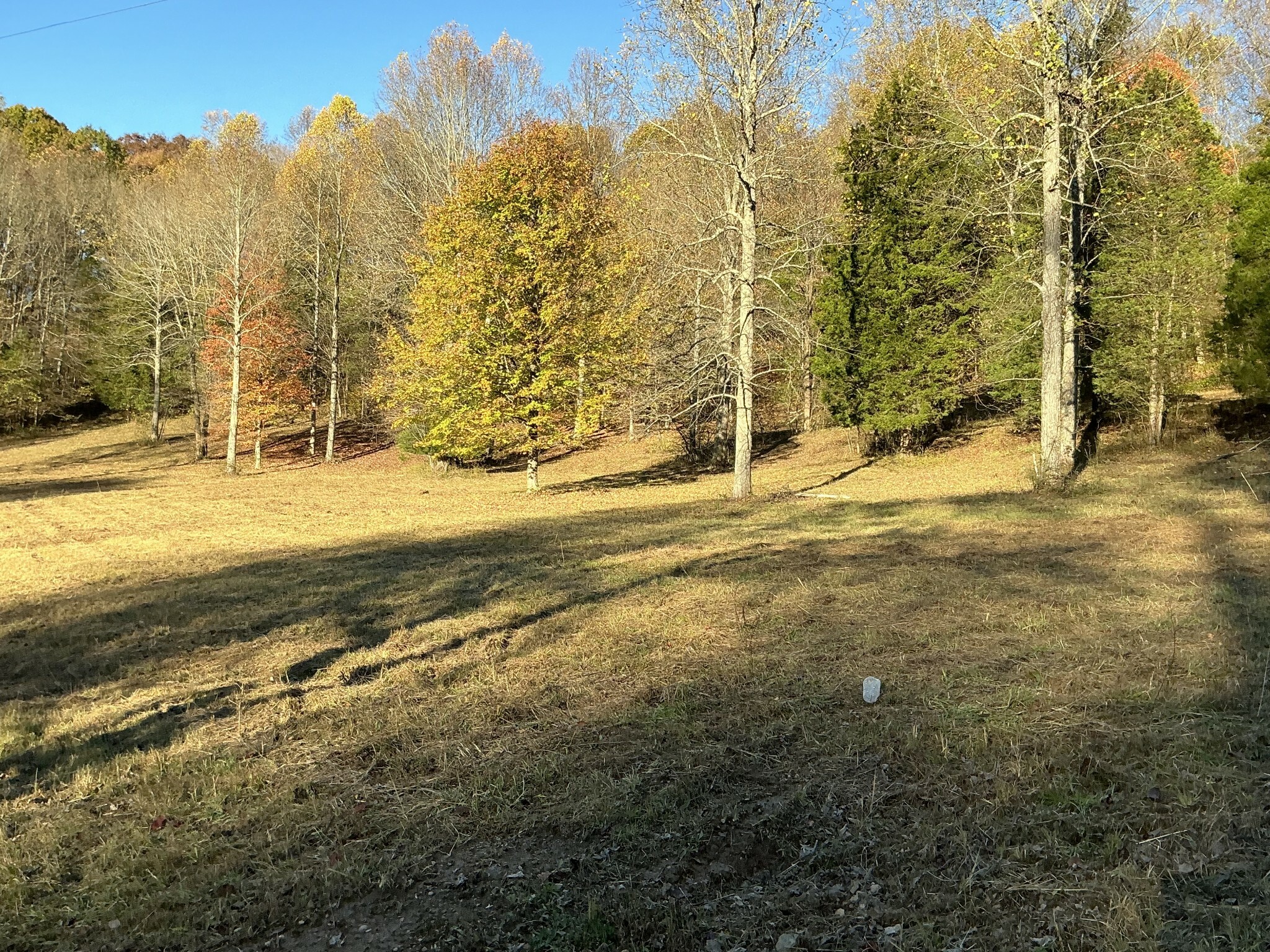 Property Photo:  375 Red Tuttle Rd  TN 37022 