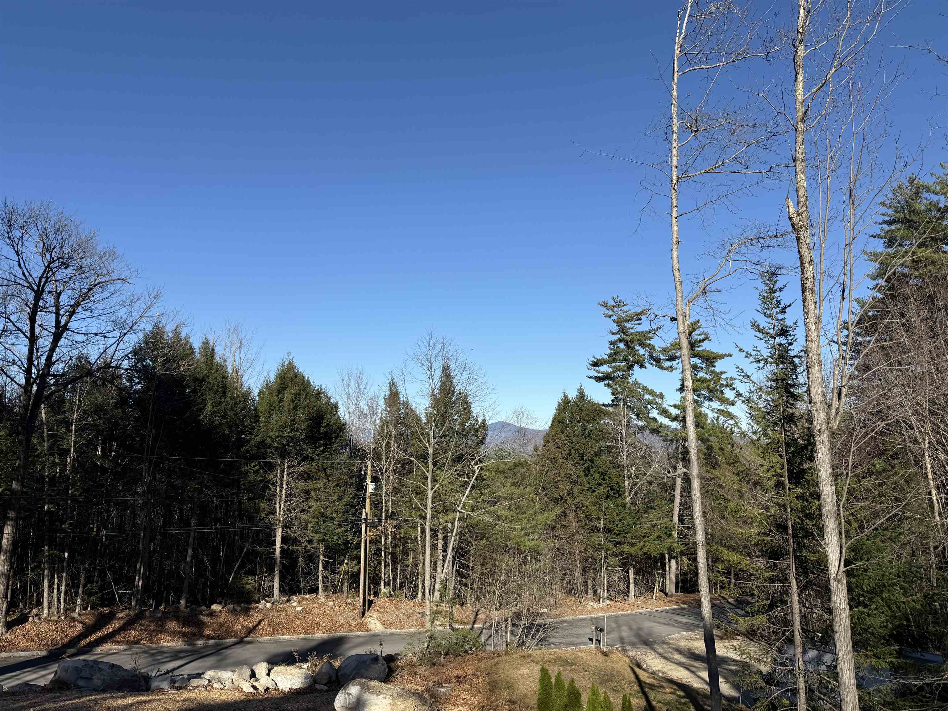 Property Photo:  99 Modock Hill Road  NH 03860 