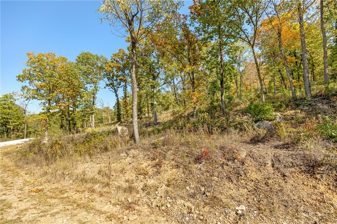 Property Photo:  Lot 46 Restore Ridge  AR 72601 