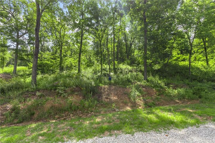 Property Photo: Lot 46 Restore Ridge AR 72601
