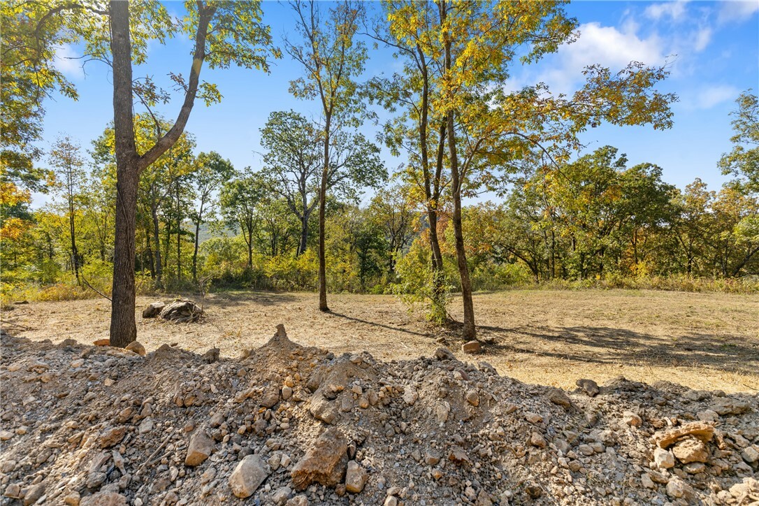 Property Photo:  Lot 33 Peaceful Place  AR 72601 