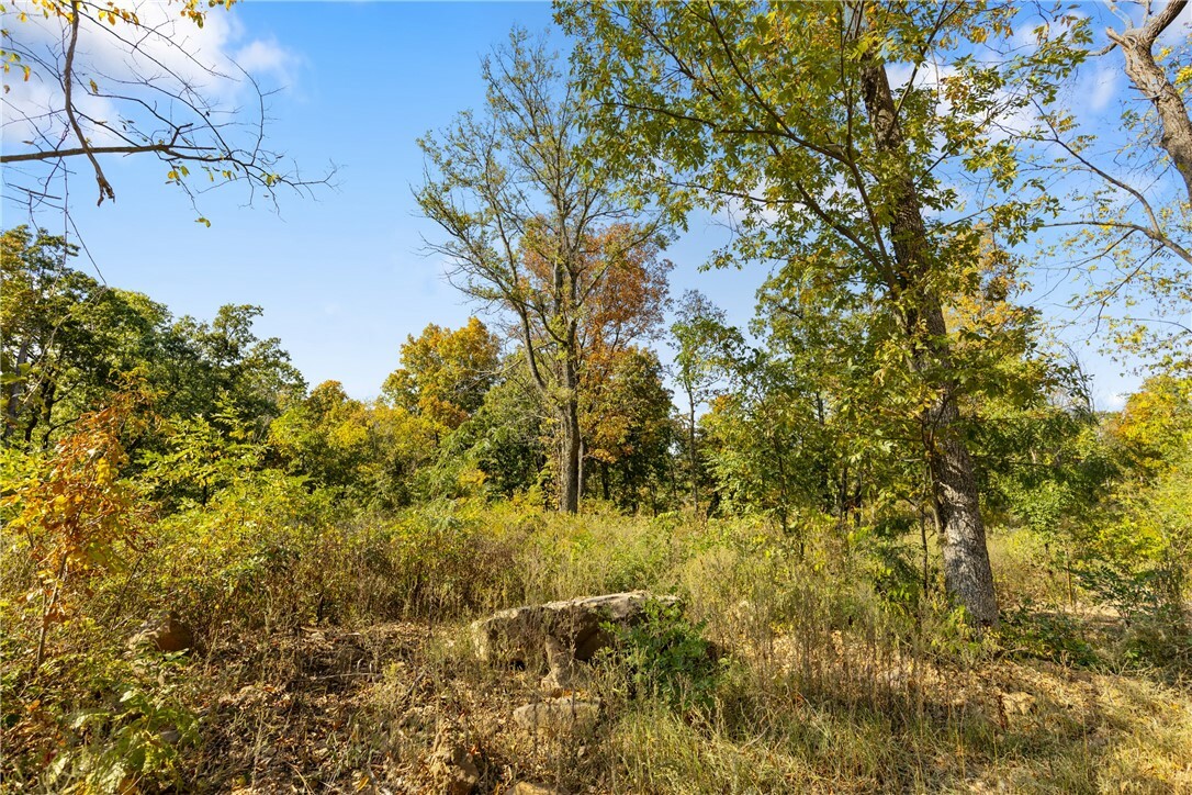 Property Photo:  Lot 28 Peaceful Place  AR 72601 