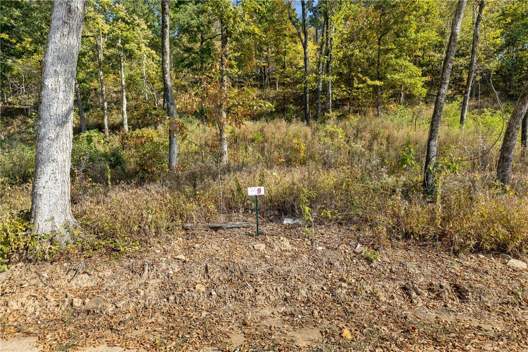 Property Photo:  Lot 9 Peaceful Place  AR 72601 