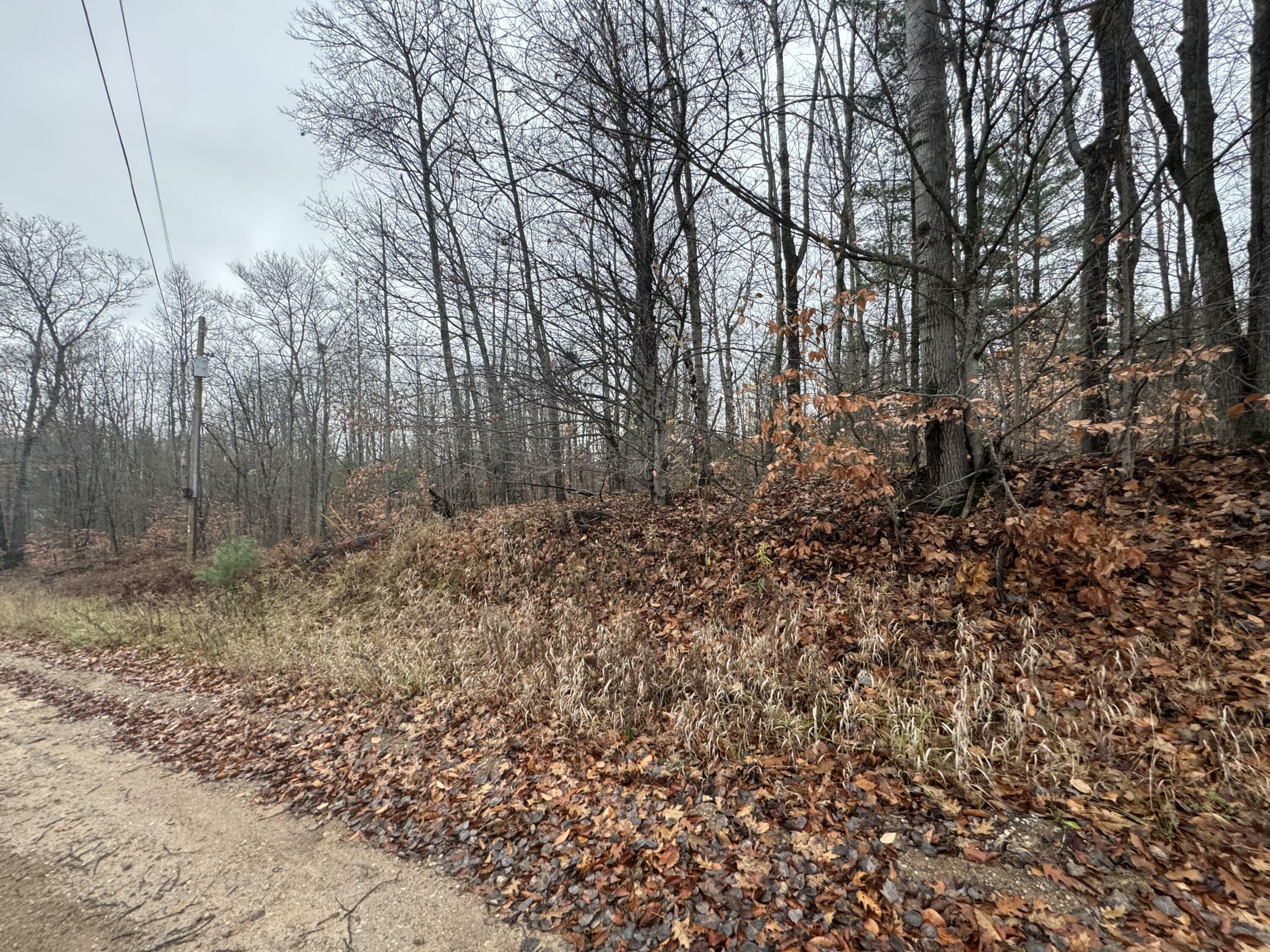 Property Photo:  16204 Timber Line Drive  MI 49799 