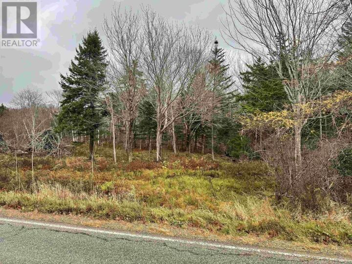 Property Photo:  No 340 Highway  NS B0W 3T0 