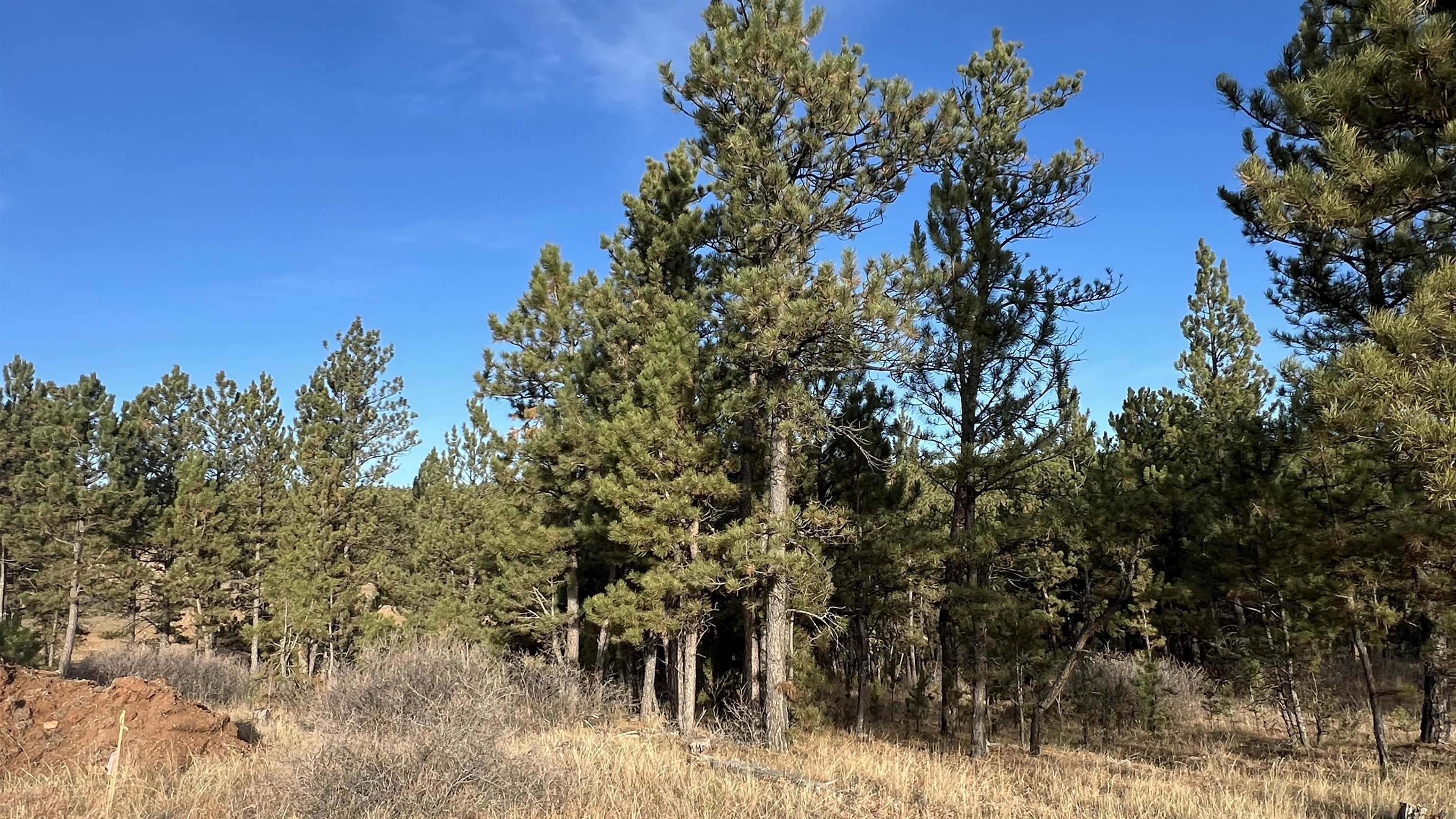 Property Photo:  Lot 5 Westwind Drive  SD 57747 