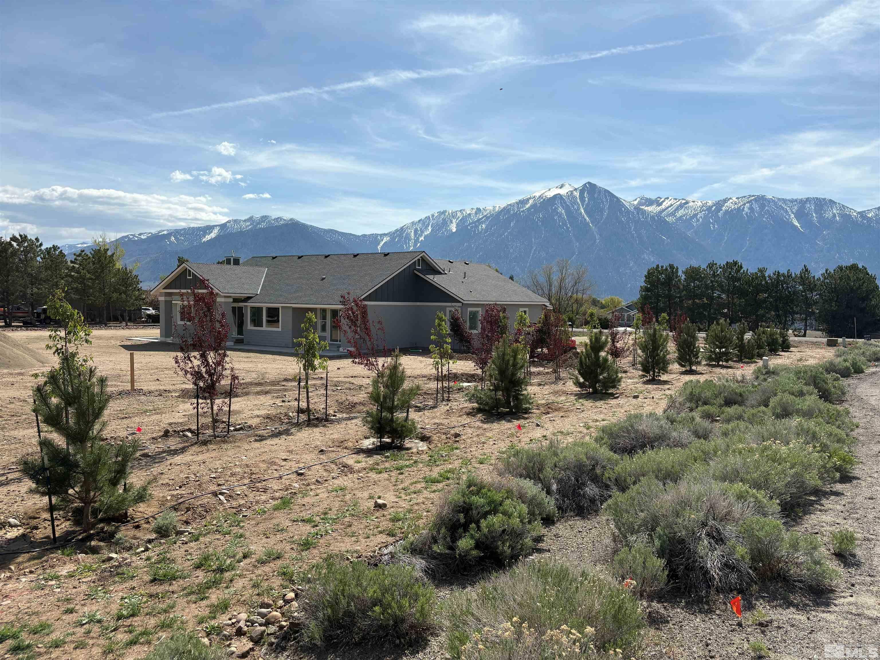 Property Photo: 781 Rubio Way NV 89460