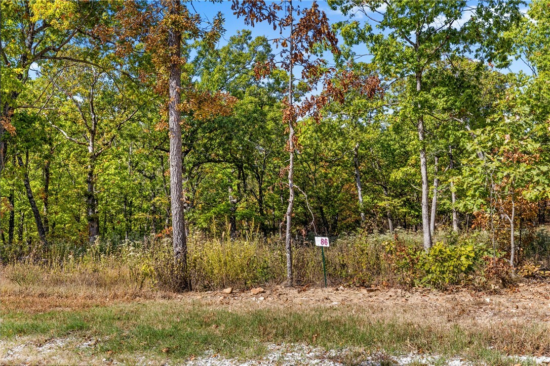 Property Photo:  Lot 86 Restore Ridge  AR 72601 