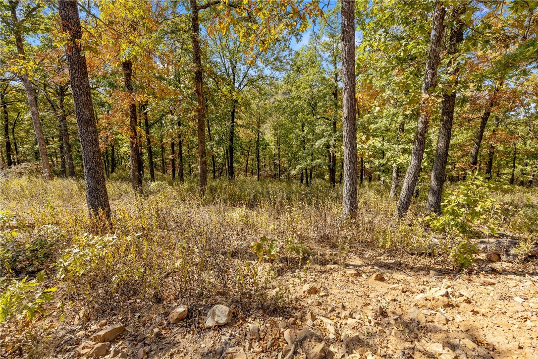 Property Photo:  Lot 69 Restore Ridge  AR 72601 