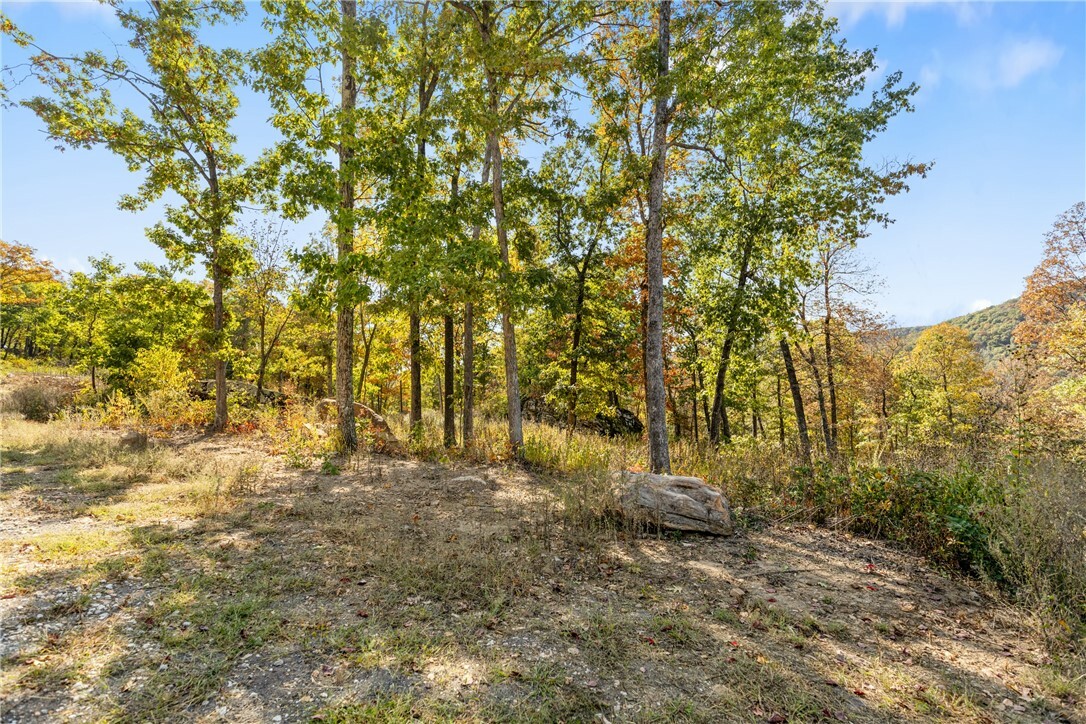 Property Photo:  Lot 73 Restore Ridge  AR 72601 