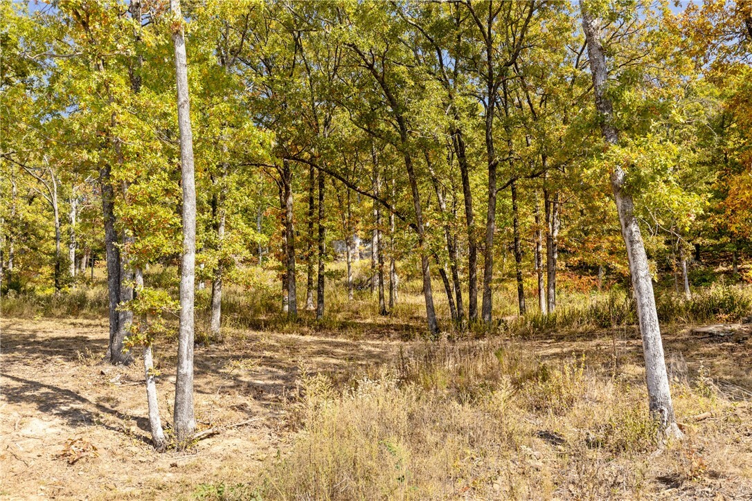 Property Photo:  Lot 63 Restore Ridge  AR 72601 