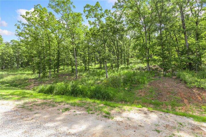 Property Photo: Lot 63 Restore Ridge AR 72601