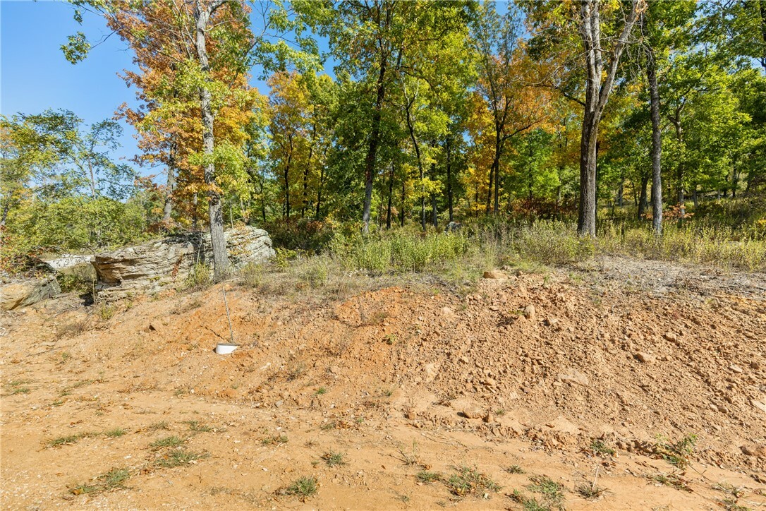 Property Photo:  Lot 59 Restore Ridge  AR 72601 