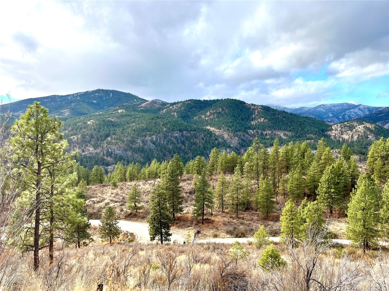 Property Photo:  0 Tract 1A Bear Mountain Road  WA 98816 