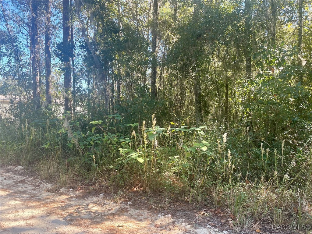 Property Photo:  13232 SW 18th Street Road  FL 34481 