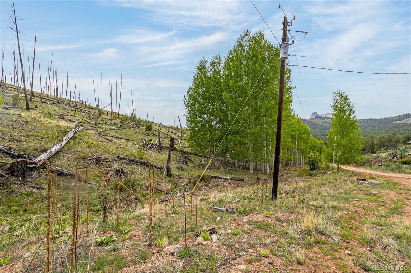 Property Photo: L1 B4 Columbine Circle CO 80863