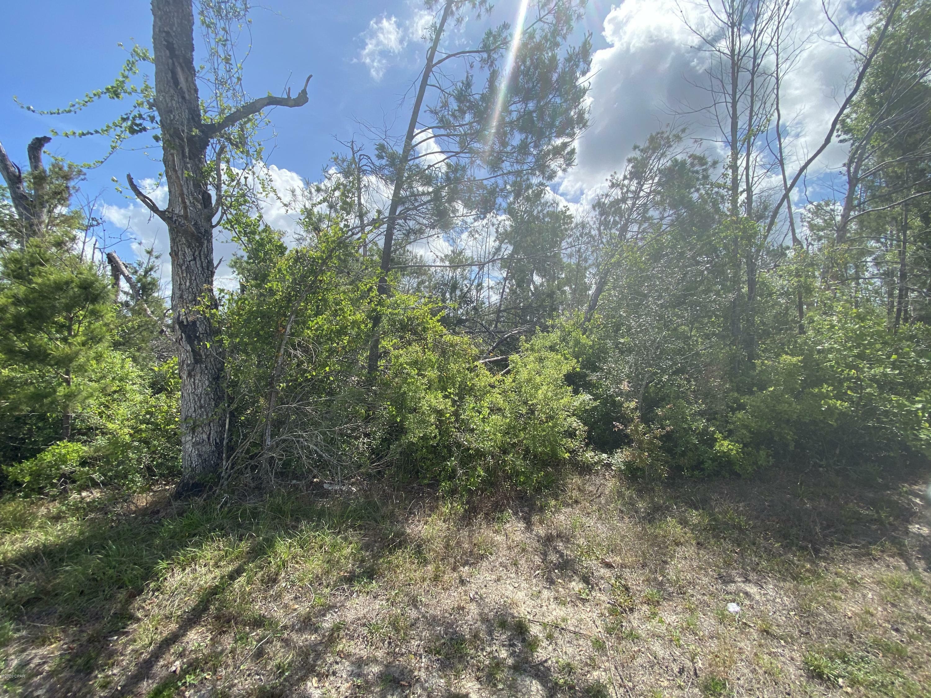 Property Photo:  405 Meadowview Terrace Lot 3  FL 32444 