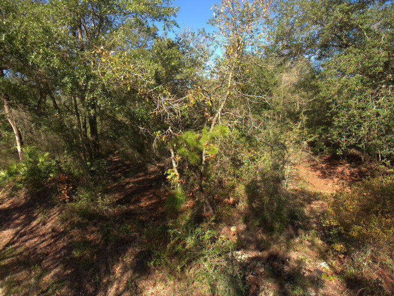 Property Photo:  14A Wiggins  FL 32564 