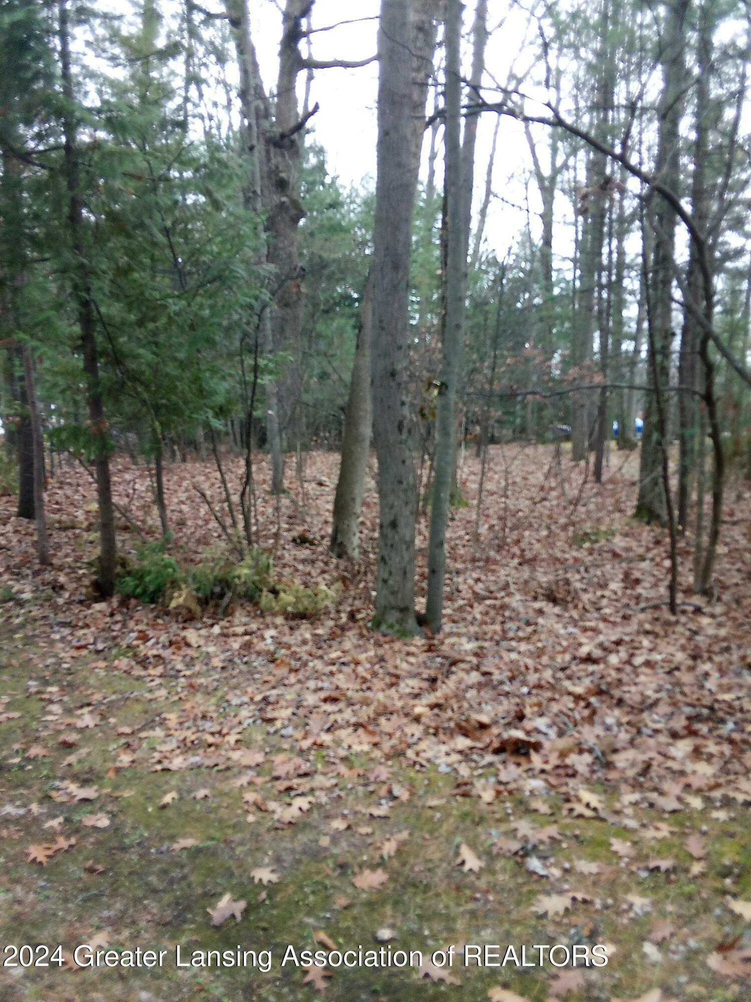 Property Photo:  32 Deer Run Drive  MI 48703 