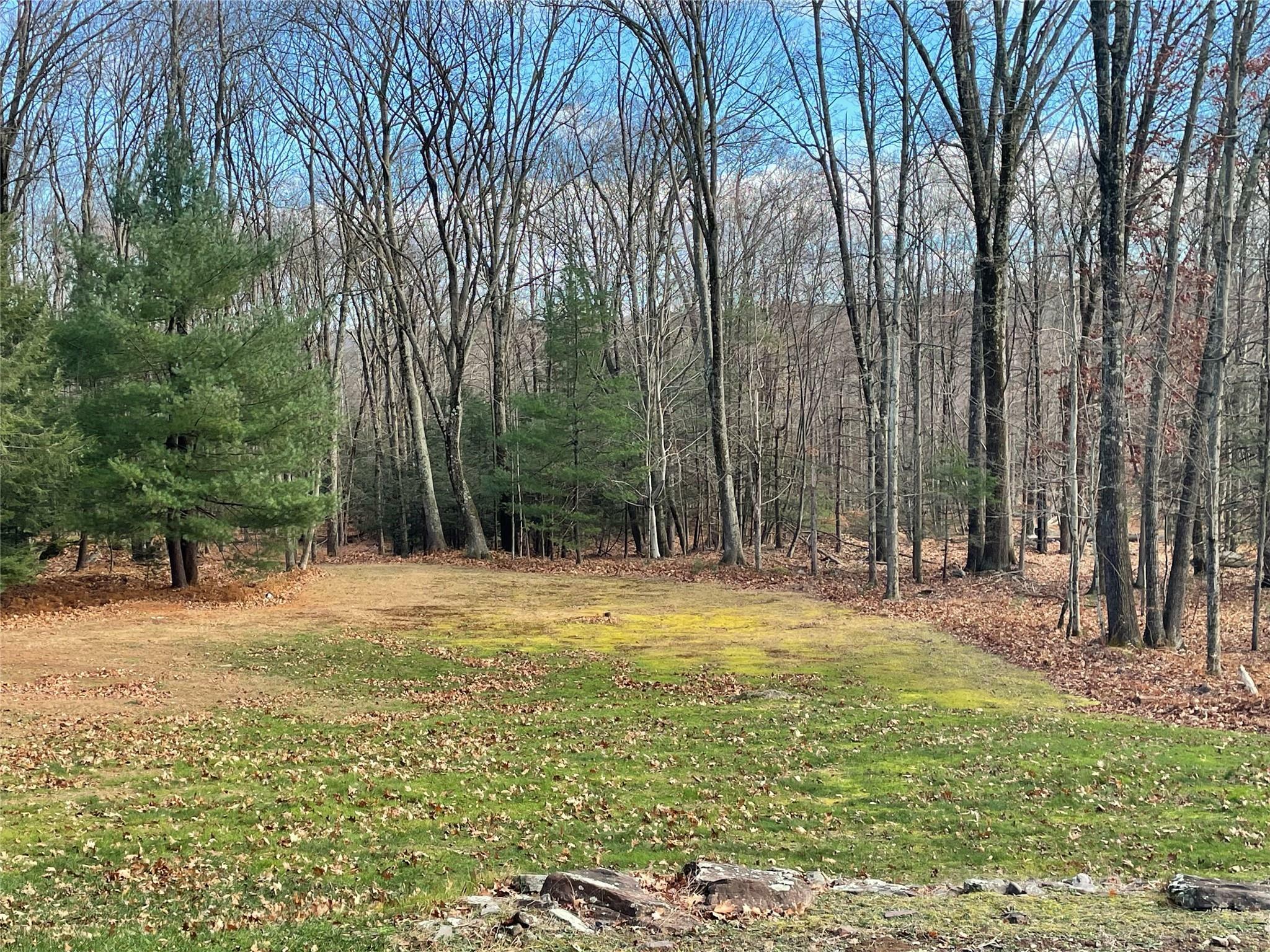 Property Photo: 29 Porter Road NY 12763