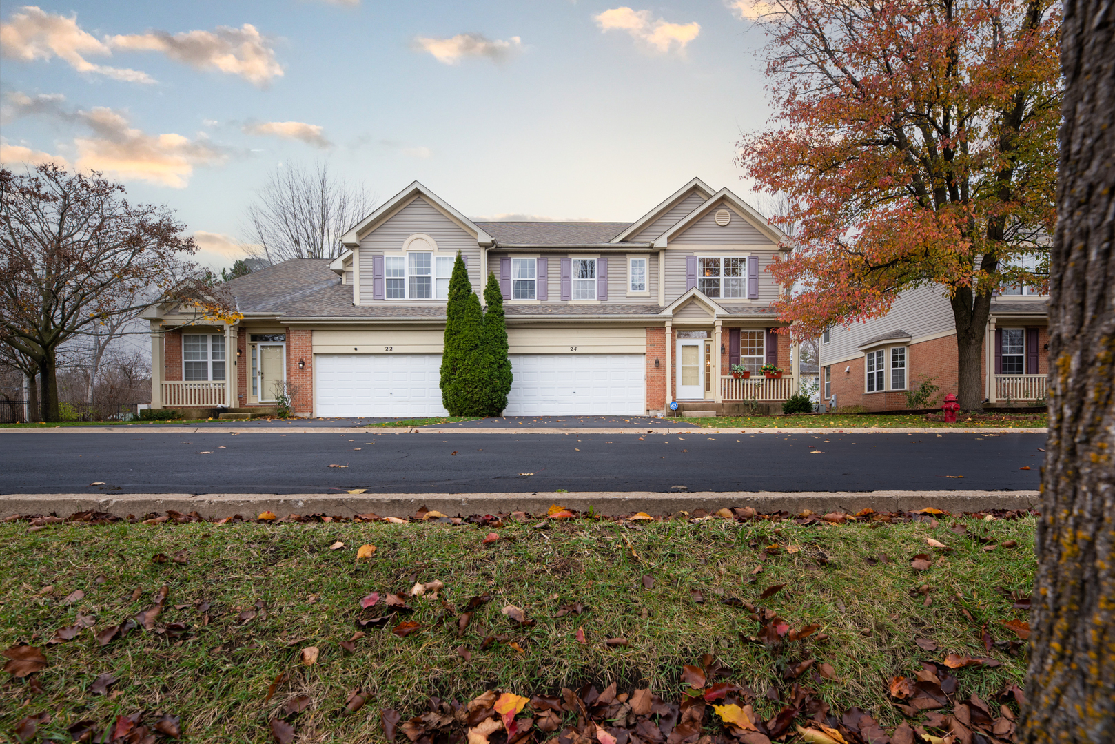 Property Photo:  24 N Silverton Court  IL 60067 