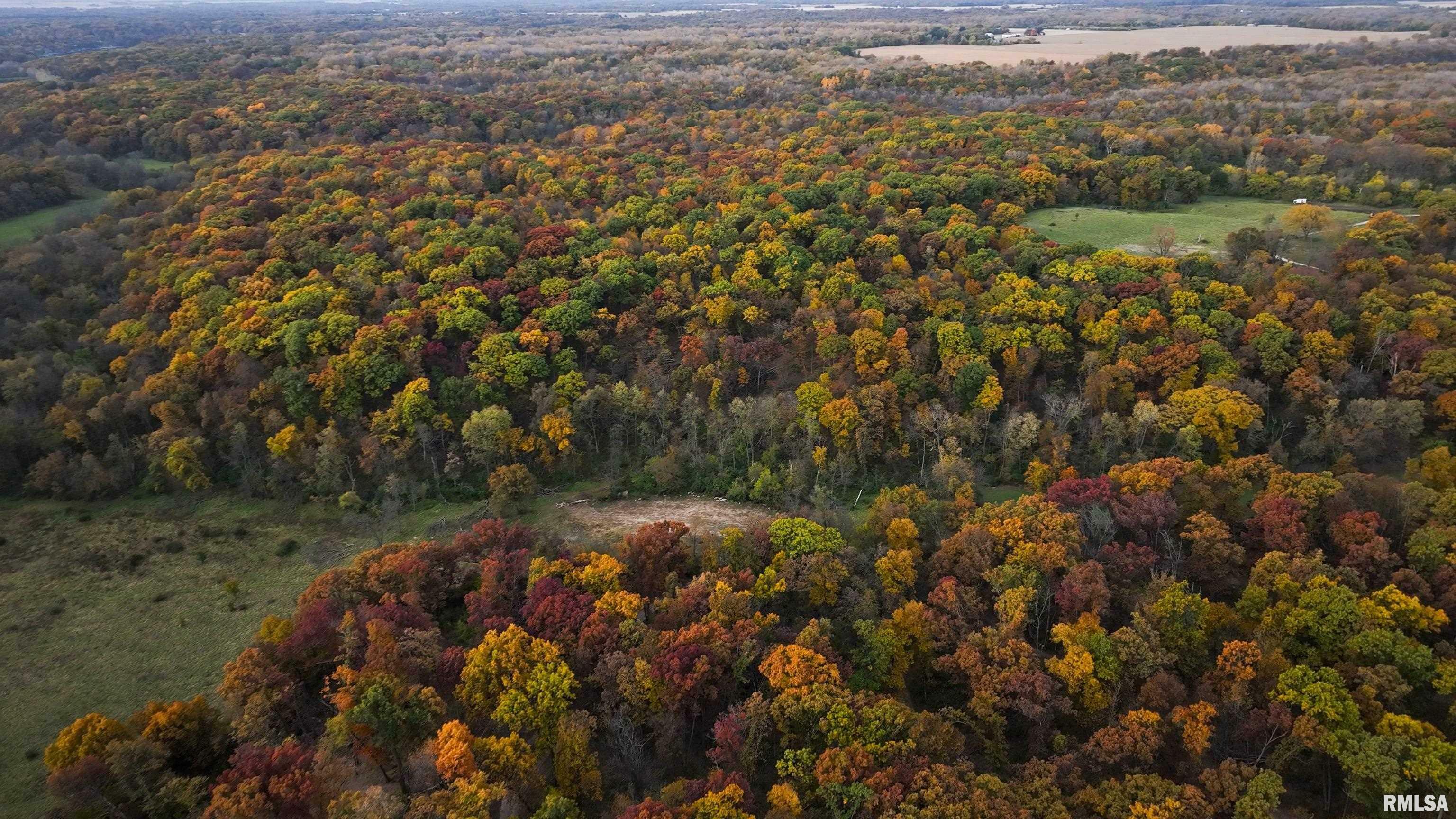 Property Photo:  0000 County Road 1500 E  IL 61485 