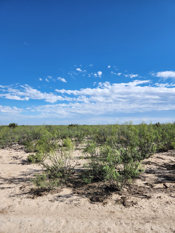 Property Photo: Tbd 7 Mile Rd TX 79743