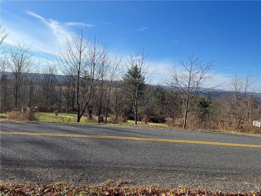 Lot 16 Wicks Road  Montour Falls NY 14865 photo