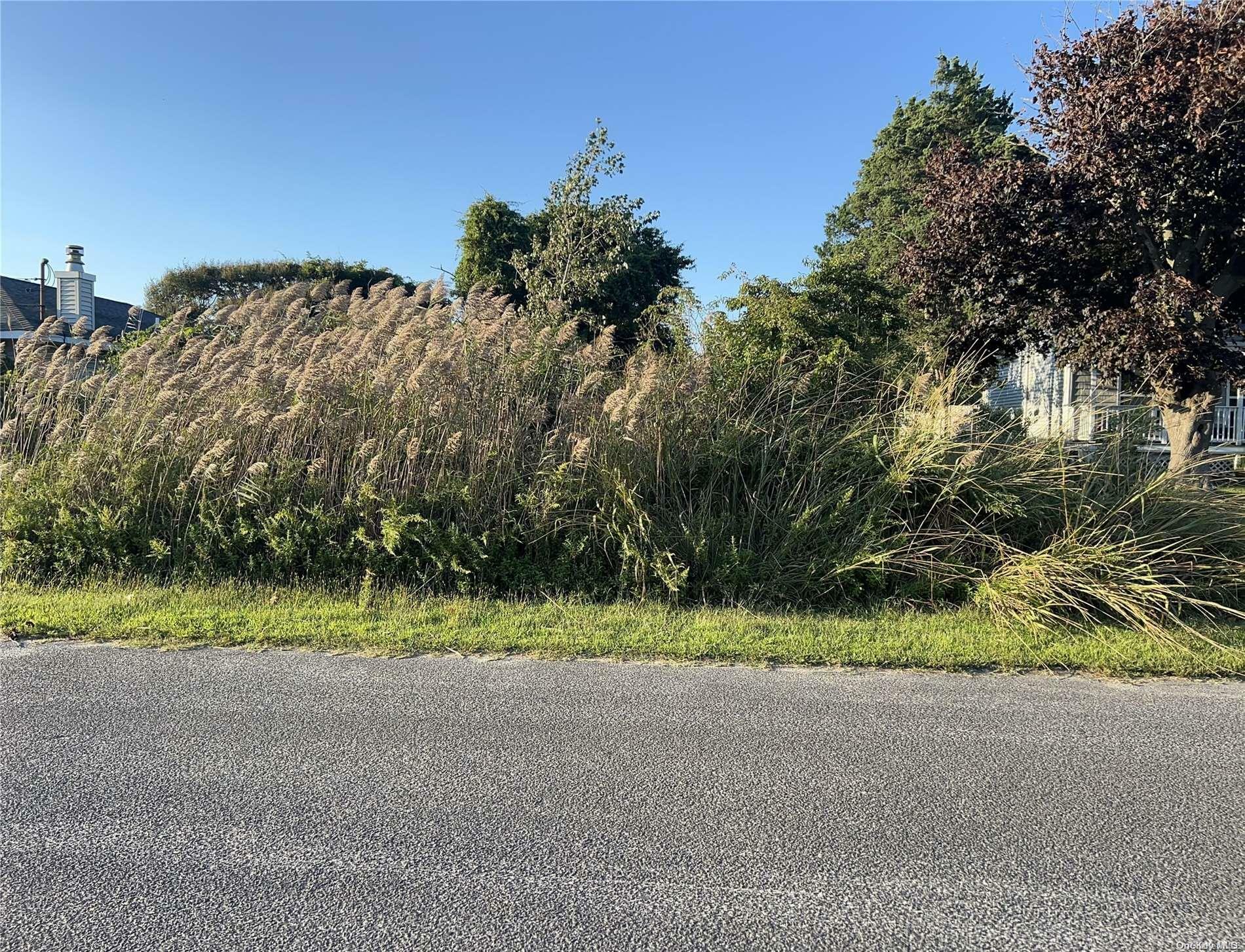 Property Photo: V/L Peters Drive NY 11967